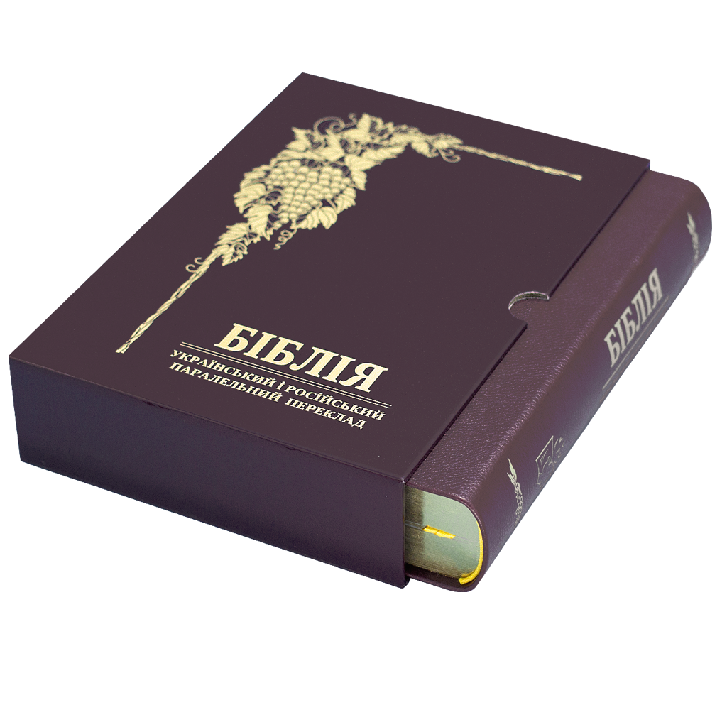 bibliya-baklazhan