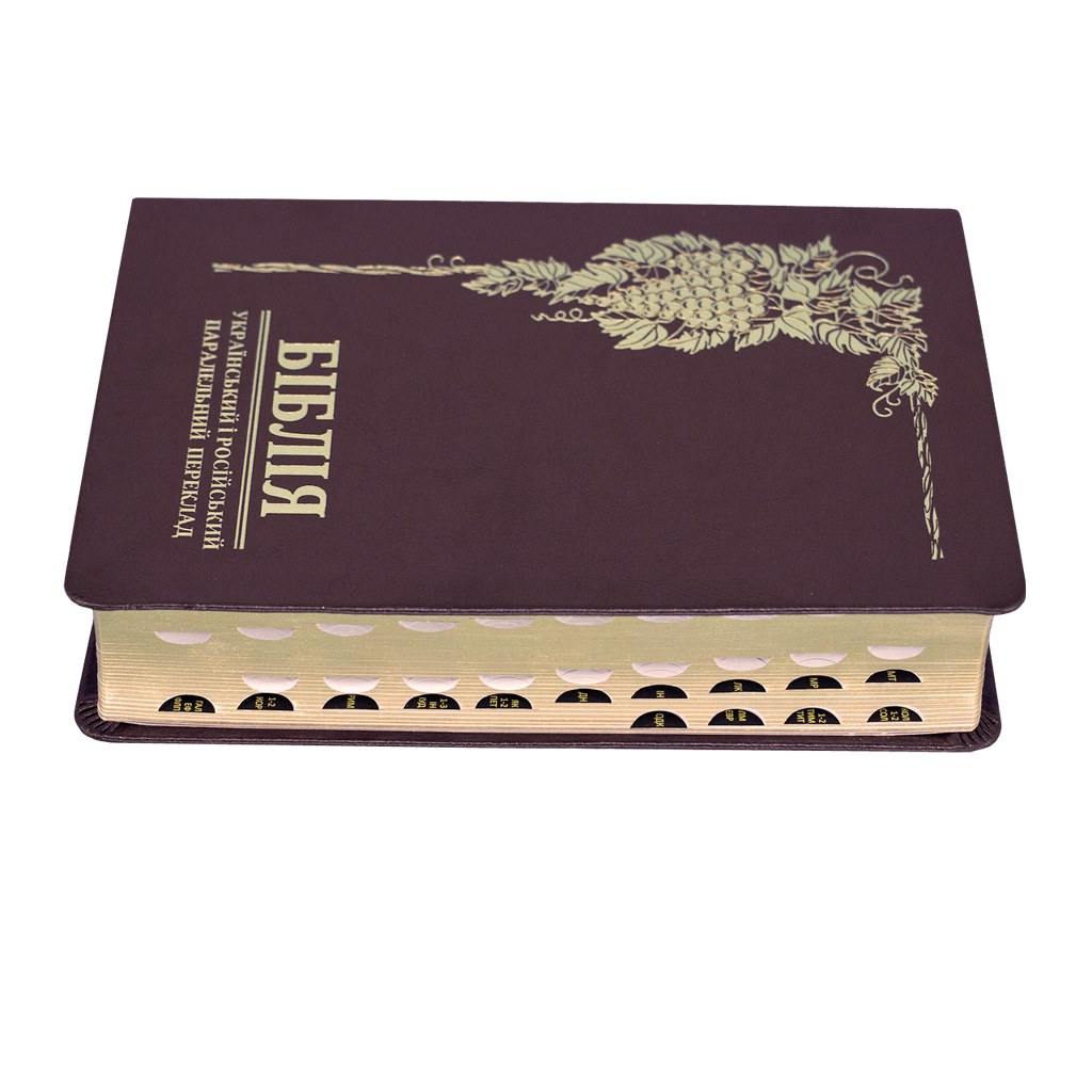 bibliya-baklazhan