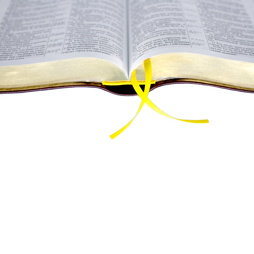 bibliya-baklazhan