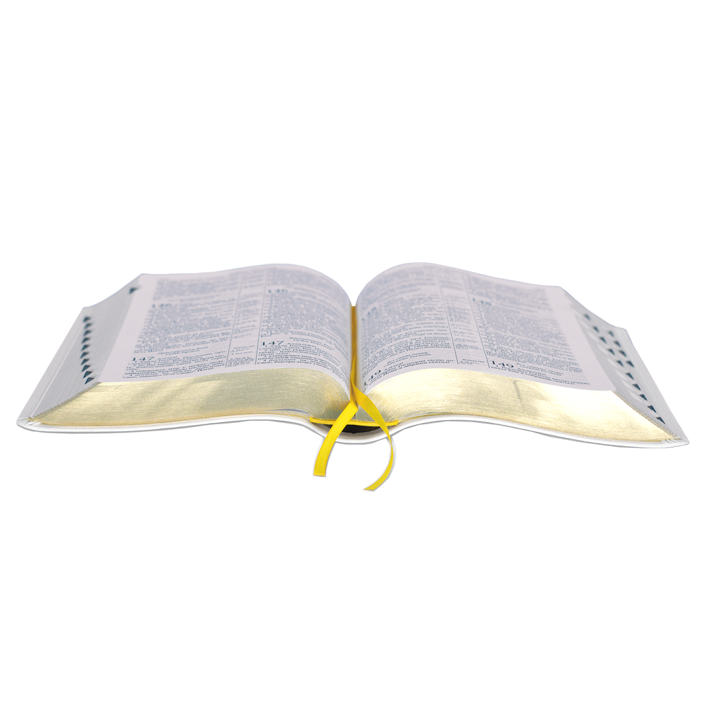 bibliya-belaya