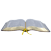 bibliya-baklazhan