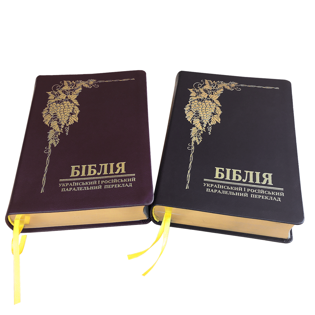 bibliya-baklazhan
